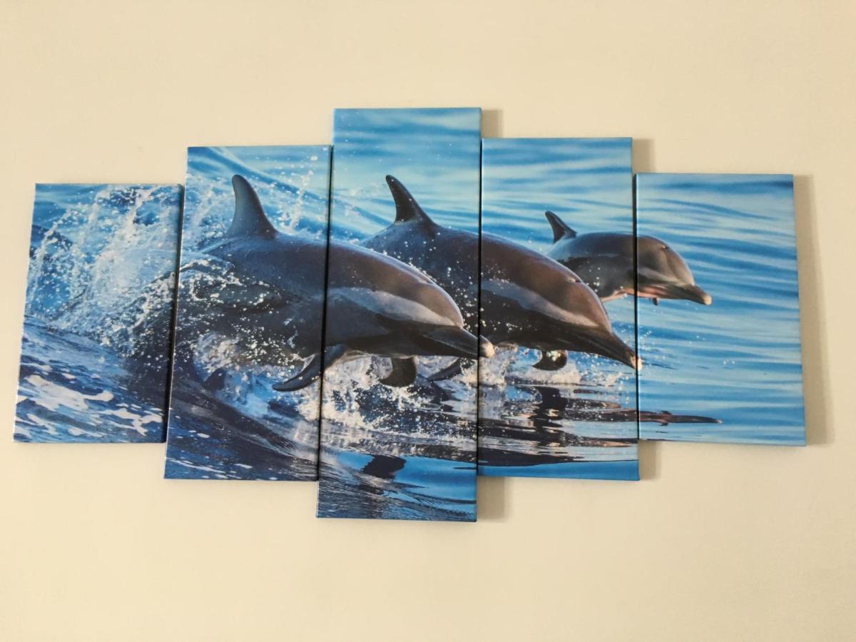 Dolphin Maeva Residencial Villa Puerto Peñasco Eksteriør bilde